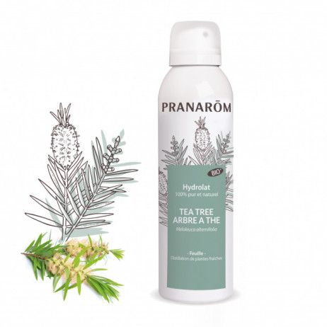 PRANAROM HYDROLAT TEA TREE...