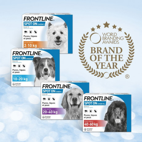 FRONTLINE spot-on chien