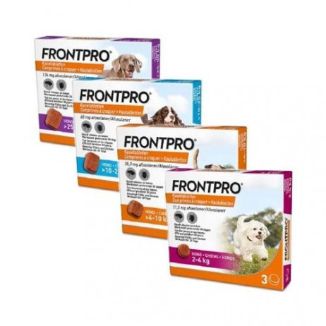 frontpro chiens