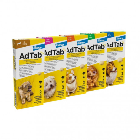 AdTab chien