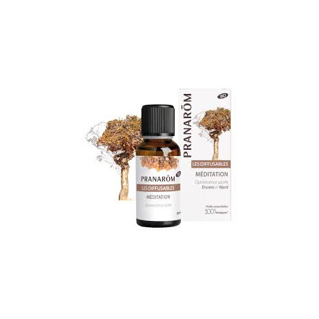PRANAROM Les Diffusables BIO Méditation Encens 30ml