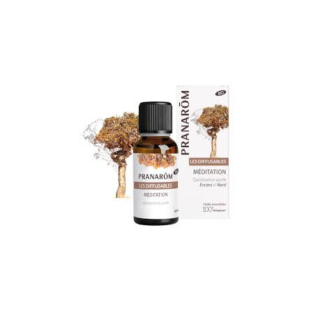 PRANAROM Les Diffusables BIO Méditation Encens 30ml