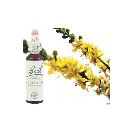 BACH Agrimony - Aigremoine 20ml