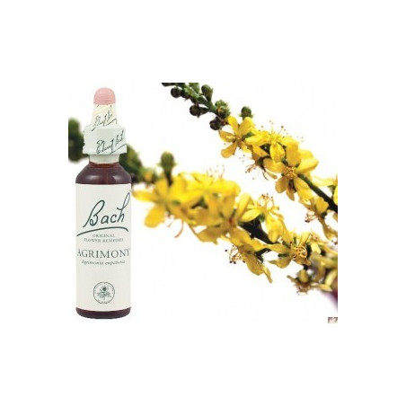 BACH Agrimony - Aigremoine 20ml