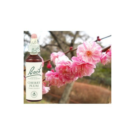 BACH Cherry Plum - Prunus 20ml