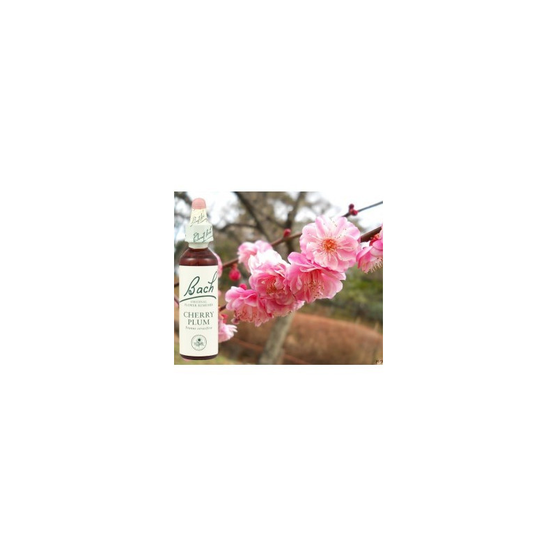 BACH Cherry Plum - Prunus 20ml BACH Cherry Plum - Prunus 20ml