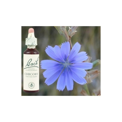 BACH Chicory - Chicorée 20ml