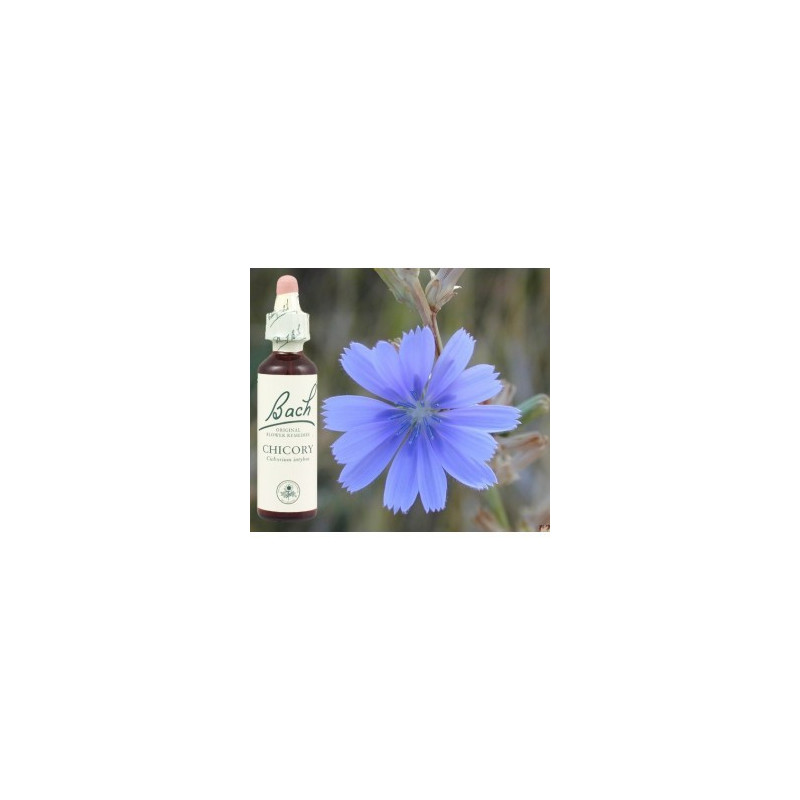 BACH Chicory - Chicorée 20ml BACH Chicory - Chicorée 20ml