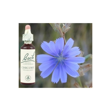BACH Chicory - Chicorée 20ml