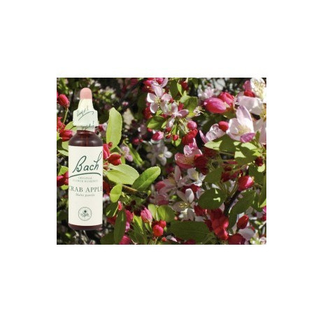 BACH Crab apple - Pommier sauvage 20ml