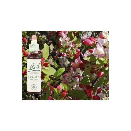 BACH Crab apple - Pommier sauvage 20ml