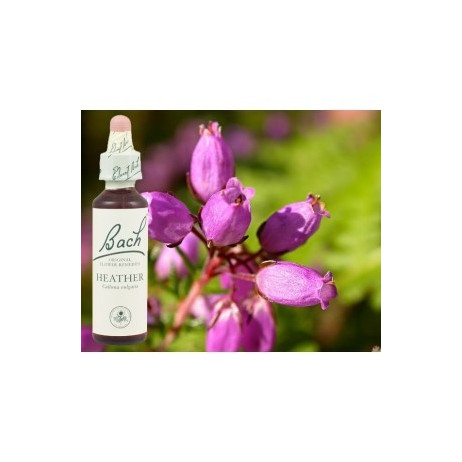 BACH Heather - Bruyère 20ml