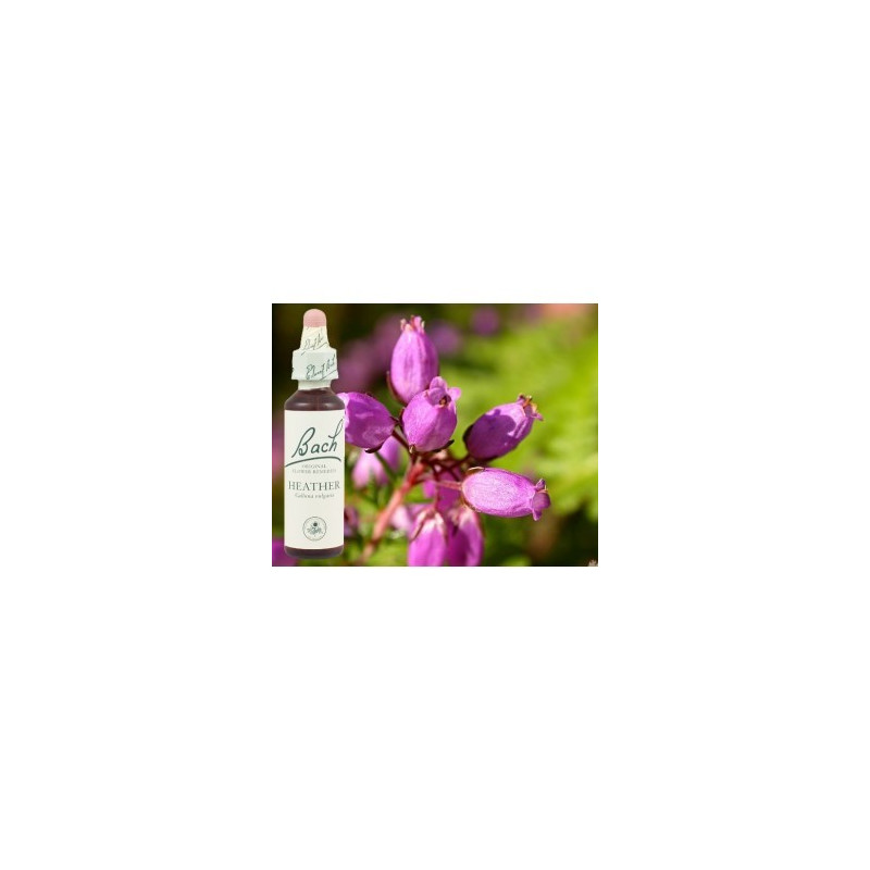 BACH Heather - Bruyère 20ml BACH Heather - Bruyère 20ml