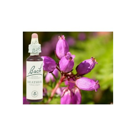 BACH Heather - Bruyère 20ml