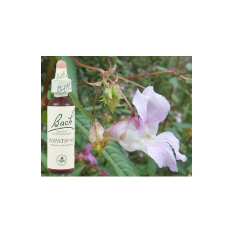 BACH Impatiens - Impatiente 20ml