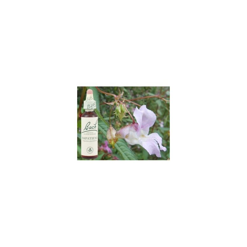 BACH Impatiens - Impatiente 20ml BACH Impatiens - Impatiente 20ml