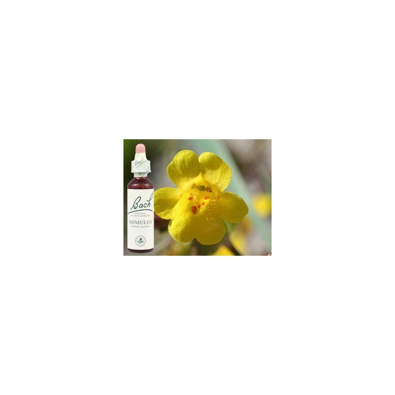 BACH Mimulus - Mimule 20ml BACH Mimulus - Mimule 20ml