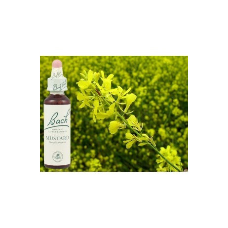 BACH Mustard - Moutarde 20ml