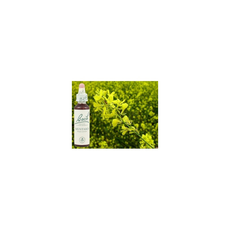 BACH Mustard - Moutarde 20ml BACH Mustard - Moutarde 20ml