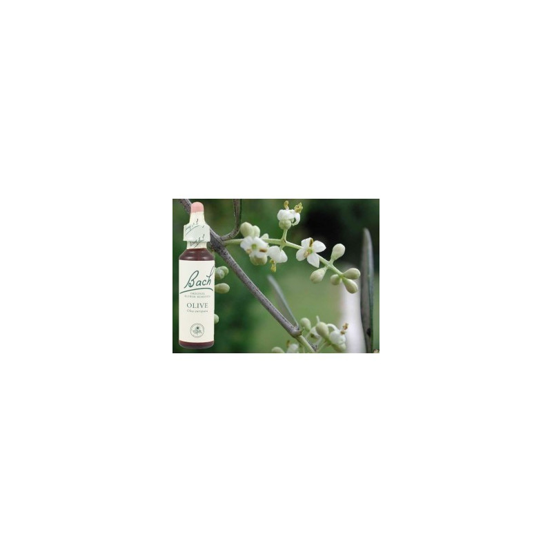BACH Olive - Olivier 20ml BACH Olive - Olivier 20ml