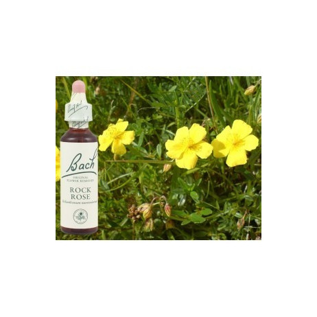 BACH Rock rose - Hélianthème 20ml