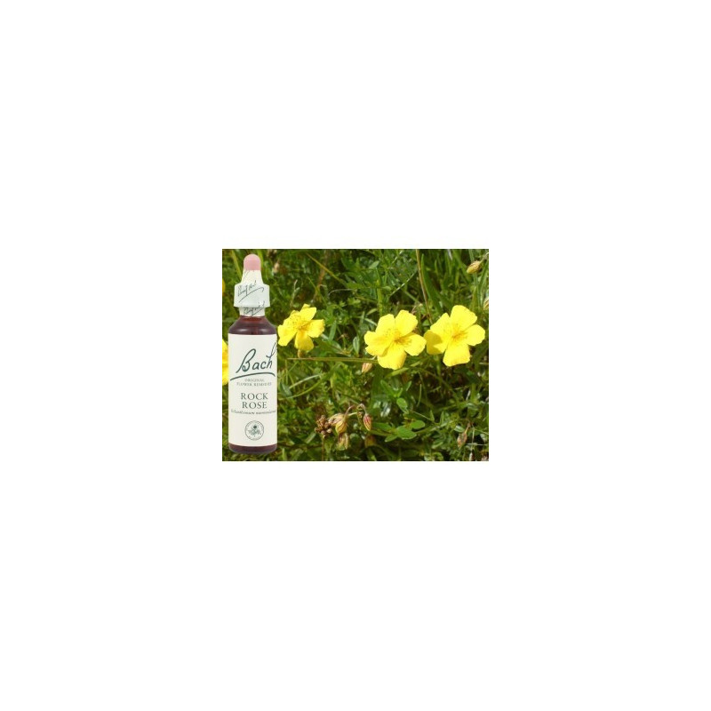 BACH Rock rose - Hélianthème 20ml BACH Rock rose - Hélianthème 20ml