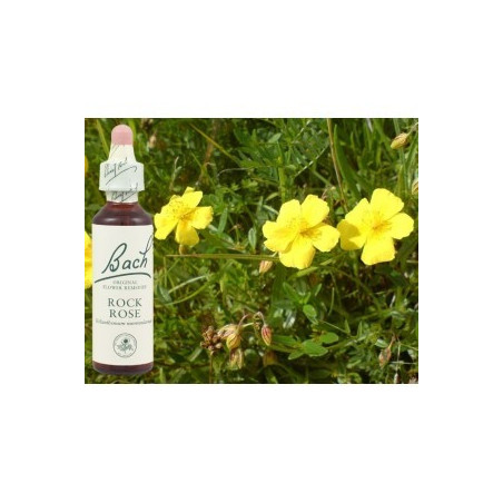 BACH Rock rose - Hélianthème 20ml