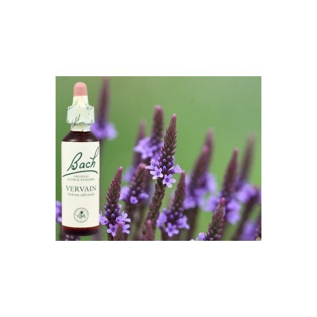 BACH Vervain - Verveine 20ml