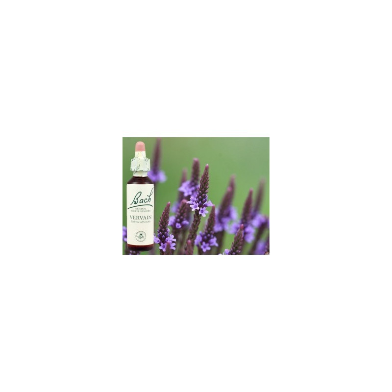 BACH Vervain - Verveine 20ml BACH Vervain - Verveine 20ml