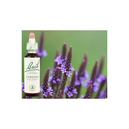 BACH Vervain - Verveine 20ml