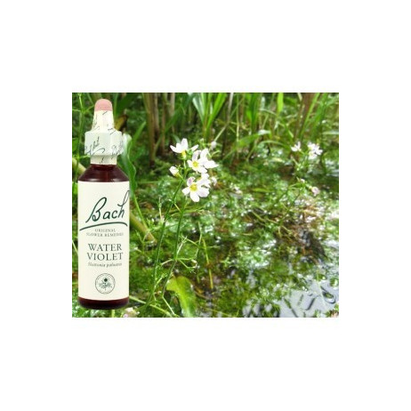 BACH Water violet - Violette d'eau 20ml