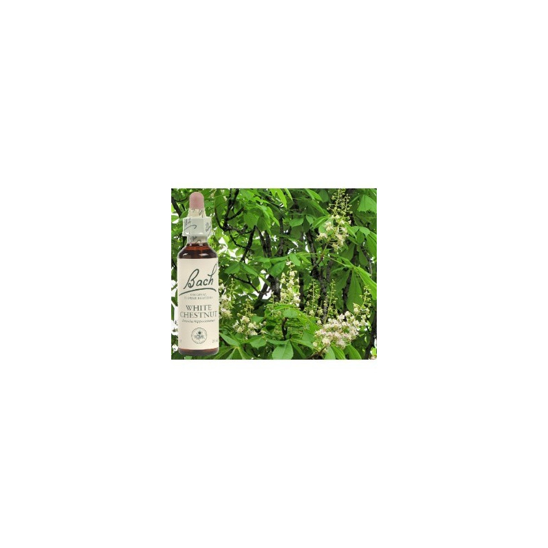 BACH White chestnut - Marronnier blanc 20ml BACH White chestnut - Marronnier blanc 20ml