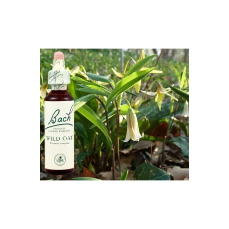 BACH Wild oat - Folle avoine 20ml