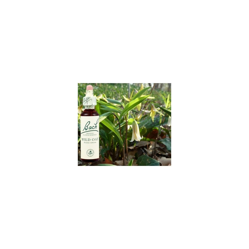 BACH Wild oat - Folle avoine 20ml BACH Wild oat - Folle avoine 20ml