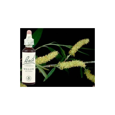 BACH Willow - Saule 20ml