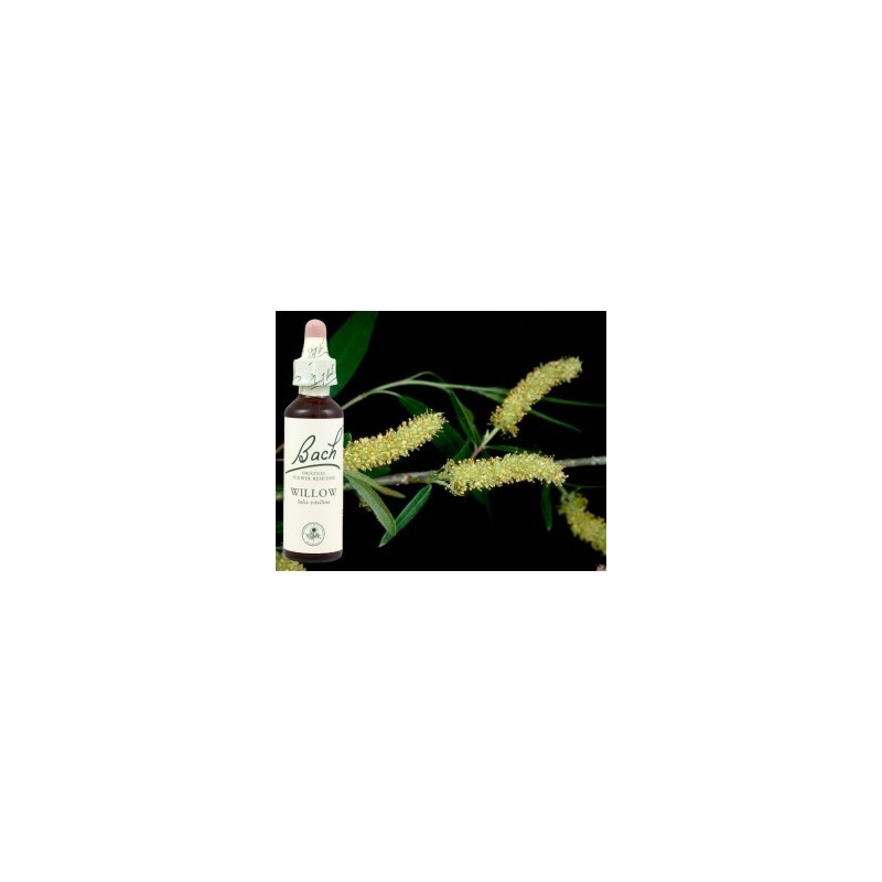 BACH Willow - Saule 20ml BACH Willow - Saule 20ml