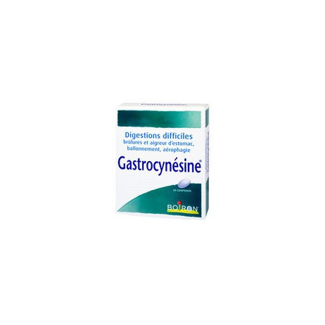 BOIRON Gastrocynésine x60 comprimés