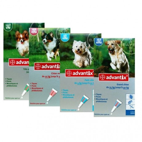 BAYER Advantix spot-on chien