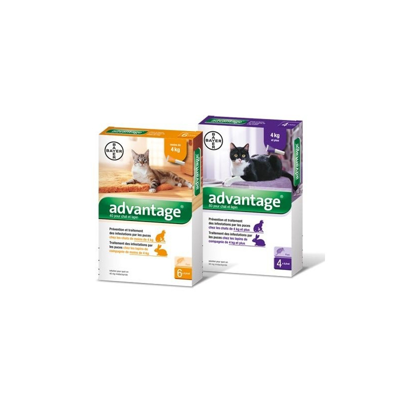 BAYER Advantage spot-on chat