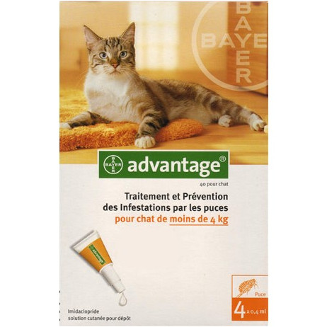 BAYER Advantage spot-on chat