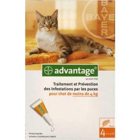 BAYER Advantage spot-on chat
