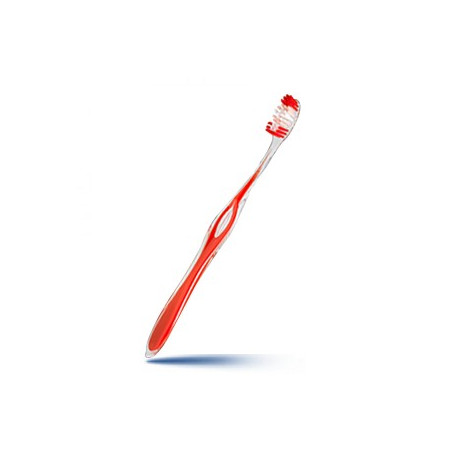 ELGYDIUM Inspiration brosse à dents 