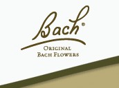 BACH